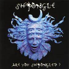 Divine Moments of Truth by Shpongle